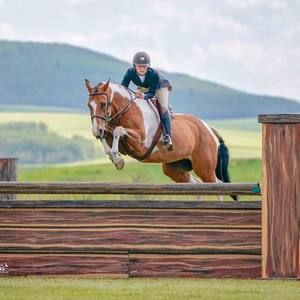 Meet your Posher, Hailey